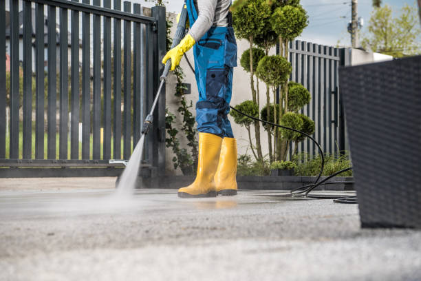 Best Driveway Pressure Washing  in Waymart, PA