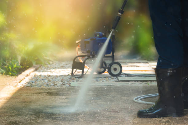 Best Solar Panel Cleaning  in Waymart, PA